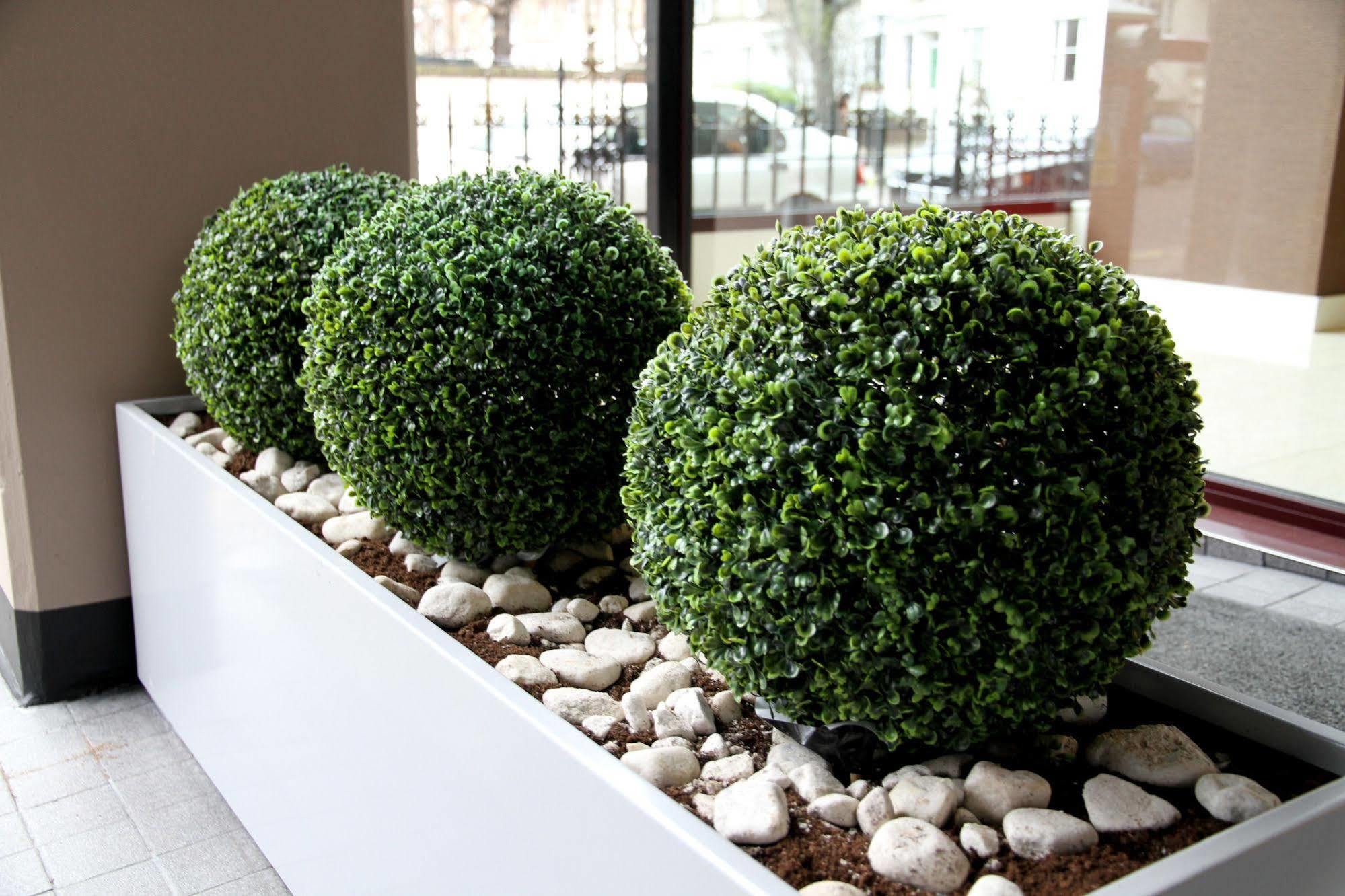 Hotel Lily London Exterior photo